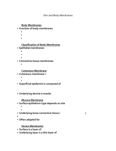 Skin and Body Membranes