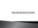 NEUROENDOCRINE Endocrine system glands
