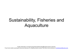 Sustainability and Fisheries