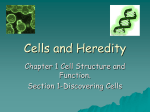 Cells and Heredity