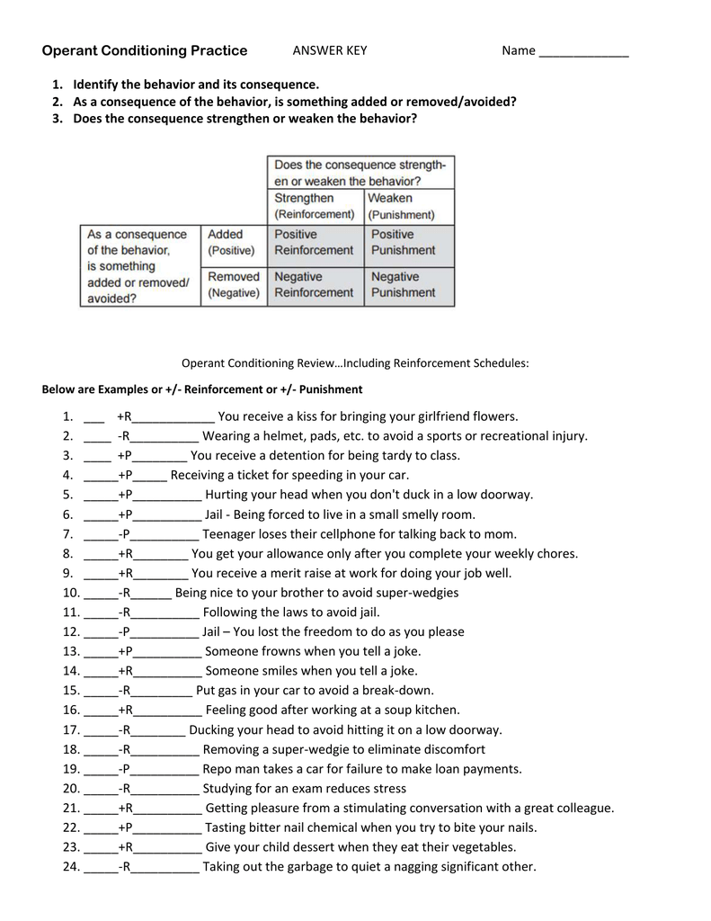 answer key--operant conditioning For Schedules Of Reinforcement Worksheet