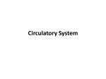 Circulatory System