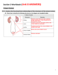 Section 3 Workbook (Unit 8 ANSWERS) Urinary System