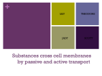 Substances cross cell membranes by passive and active transport