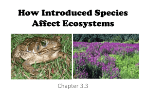 How Introduced Species Affect Ecosystems