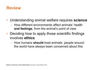 Intro to Animal Welfare