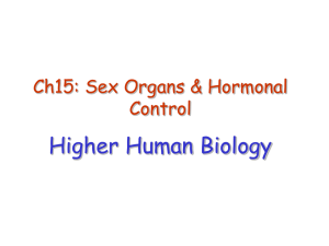 HH15_Reproductive organs