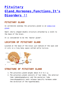 pituitary gland - Biology Notes Help
