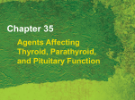Agents Affecting Thyroid, Parathyroid, and Pituitary Function