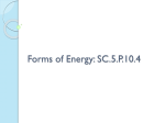 Forms of Energy (SC.5.P.10.4)
