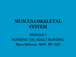 MUSCULOSKELETAL SYSTEM