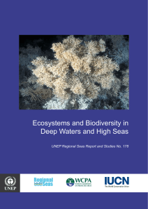 Ecosystems and Biodiversity in Deep Waters and High Seas
