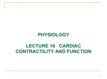 Cardiac Contractility and Function