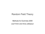 Random Field Theory