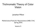 Trichromatic Theory of Color Vision