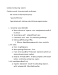 Cardiac Conducting System