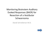 Monitoring Brainstem Auditory Evoked Responses (BAER)