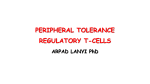 28-29_Per_tolerance_Regulatory T-cells_LA