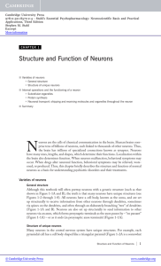 Structure and Function of Neurons - Assets