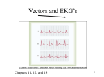 16 Analyzing EKG vectors and MEA