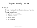 Chapter 3 Body Tissues