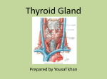 Thyroid Gland