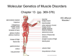 Muscle Diseases-06