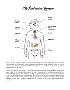 The Endocrine System