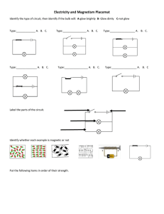 Electricity and Magnetism Placemat