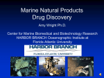 Marine Natural Products Drug Discovery