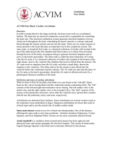 Cardiology Fact Sheet ACVIM Fact Sheet: Cardiac Arrythmias