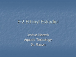 E-2 Ethinyl Estradiol