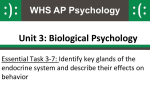 3-7-endocrine_system - Somerset Academy