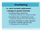 Controlling Overfishing