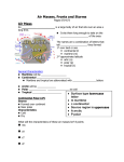 Air Masses, Fronts and Storms