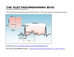 The Electrocardiogram (ECG)