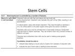 Stem Cells - WordPress.com