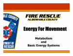 Energy For Movement