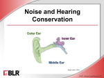 Noise and Hearing Conservation