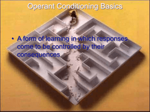 Operant Conditioning Basics