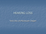 hearing loss - WordPress.com