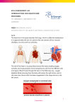 Introduction to the heart`s electrical conduction system