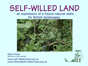 an expression of a future-natural state for British - Self