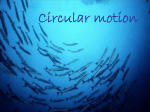 circular_motion1.07 MB