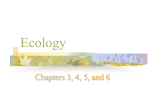 Ecology Notes