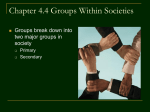 Chapter 4.4 Groups Within Societies