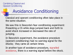 Avoidance Conditioning