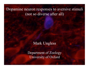 Dopamine neuron responses to aversive stimuli (not so diverse after