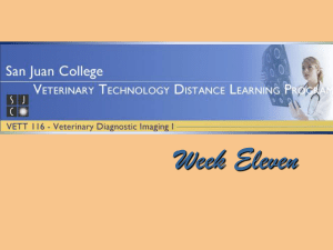 VETT 116 Veterinary Diagnostic Imaging 1 Syllabus Review