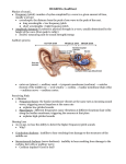 Hearing and Other Senses Lecture Notes